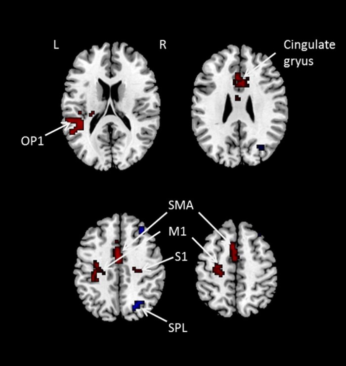 Figure 3