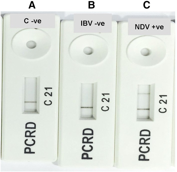 Fig. 3