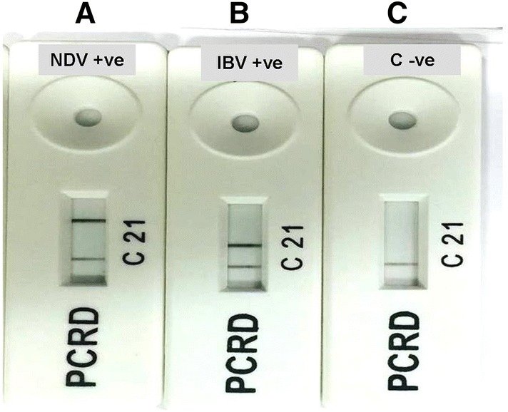 Fig. 2