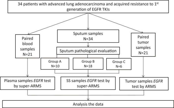 FIGURE 1