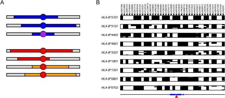 Figure 1