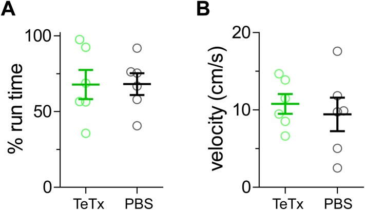 Figure 1—figure supplement 2.