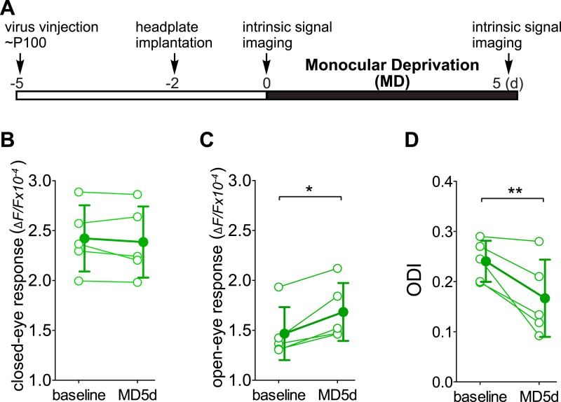 Figure 4—figure supplement 1.