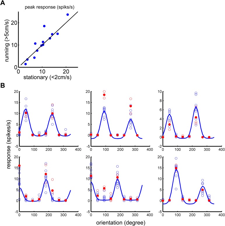 Figure 1—figure supplement 1.