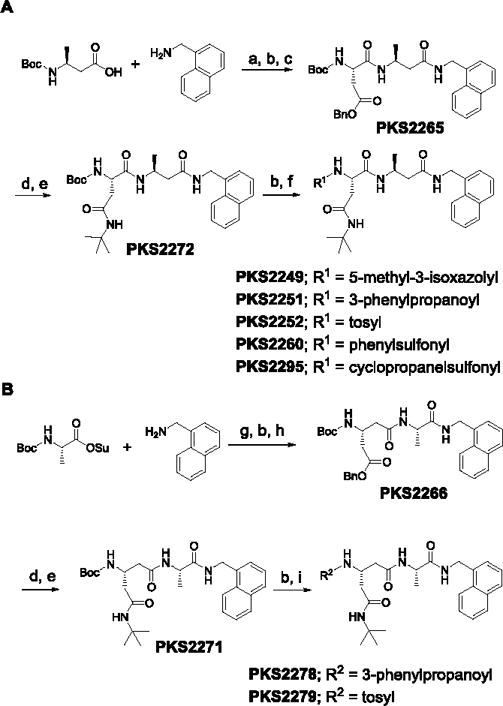 Scheme 1