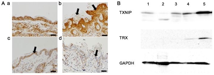 Figure 5.