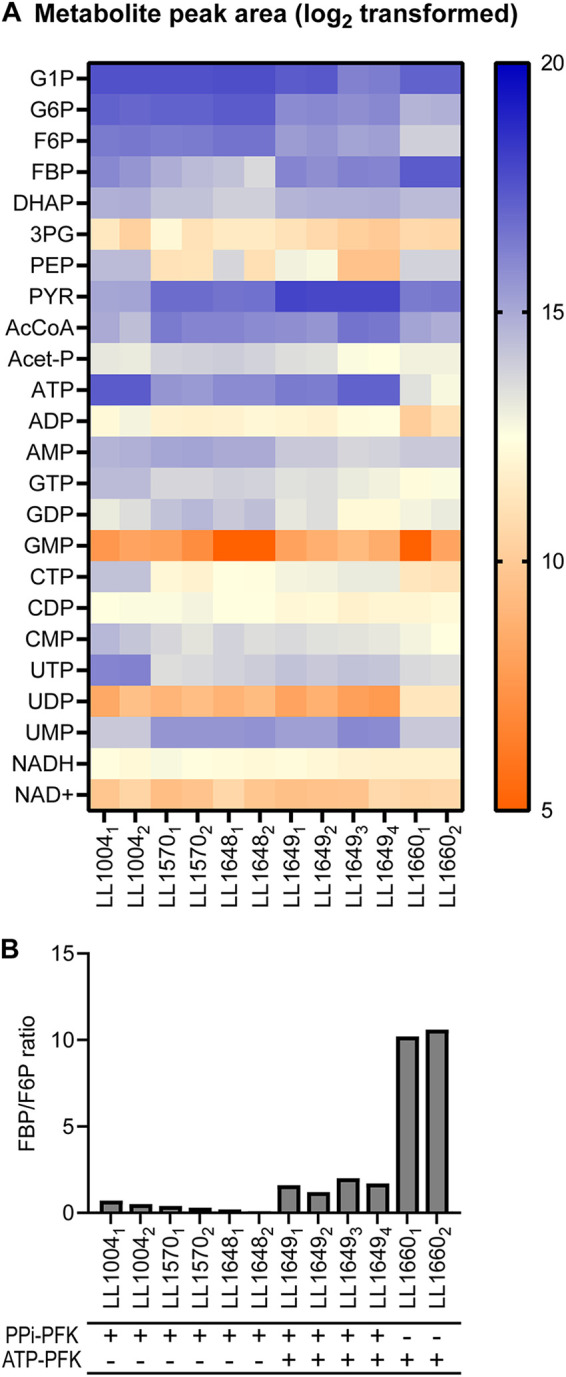 FIG 4