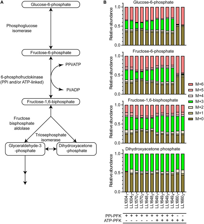 FIG 3