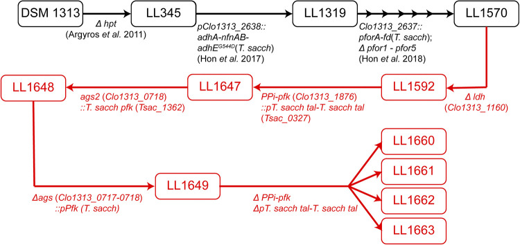 FIG 6