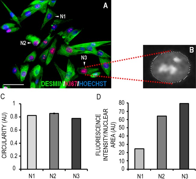 Figure 4.