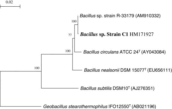 Figure 1