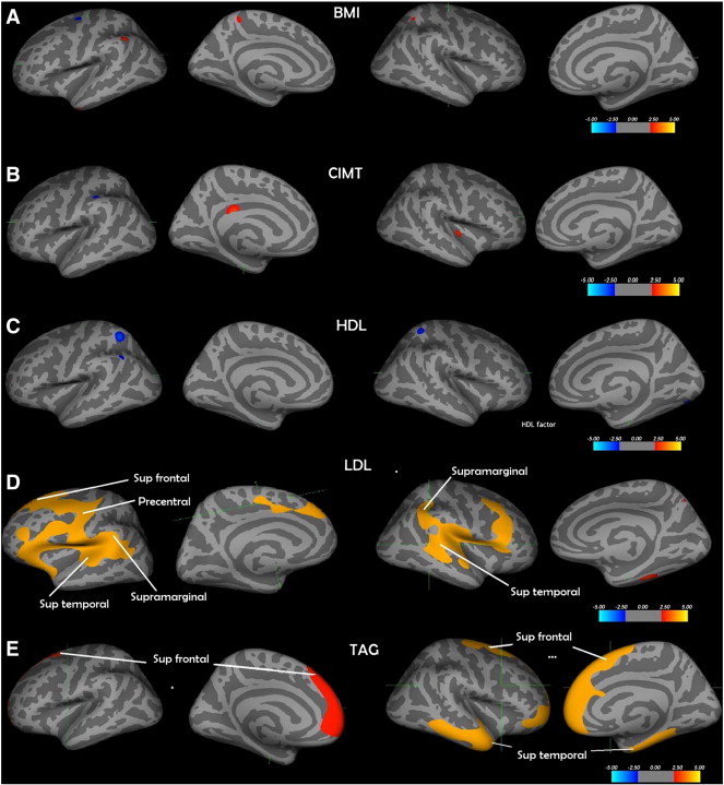 Fig. 1