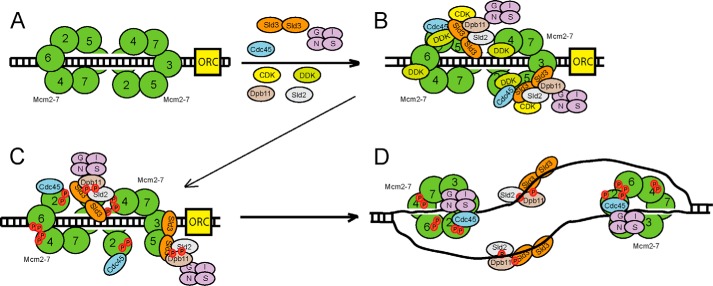 FIGURE 7.