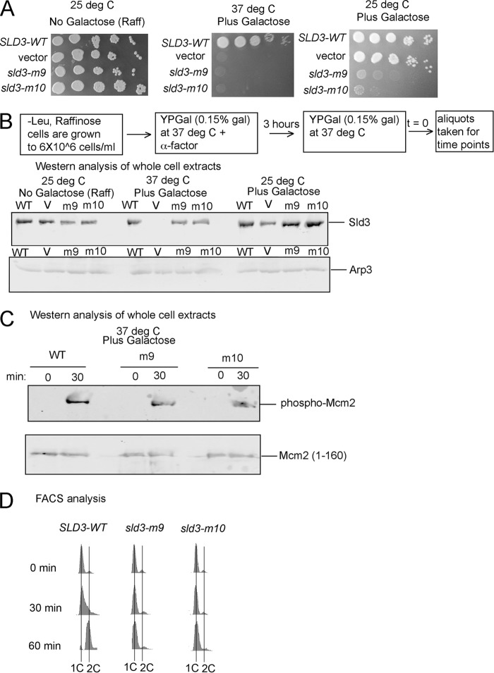 FIGURE 3.