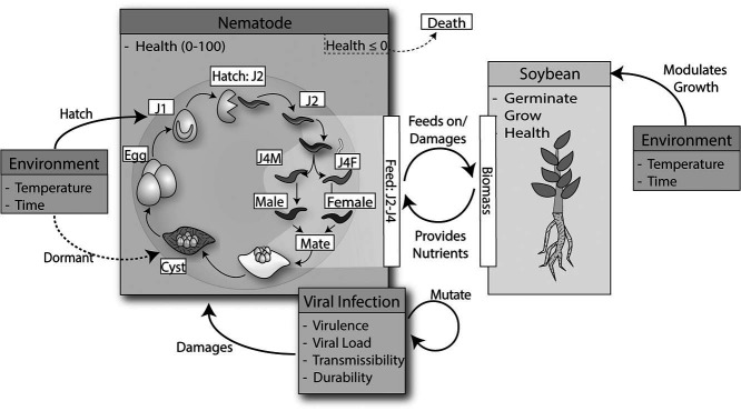 Figure 1: