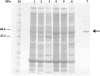 FIG. 1.