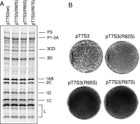 FIG. 8.