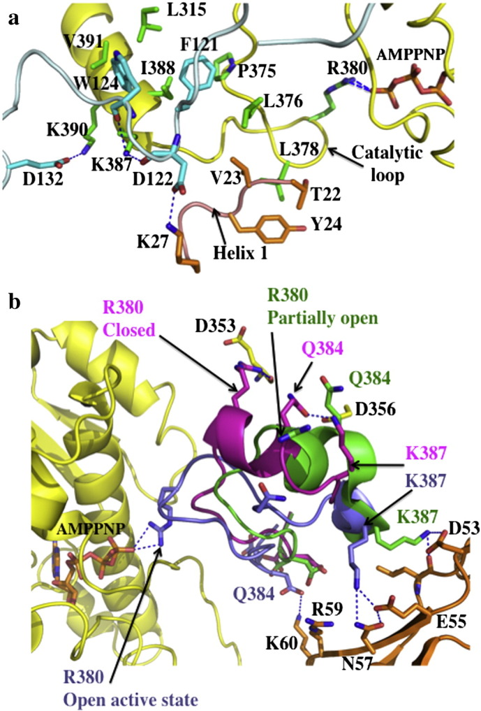 Fig. 6