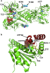 Fig. 8