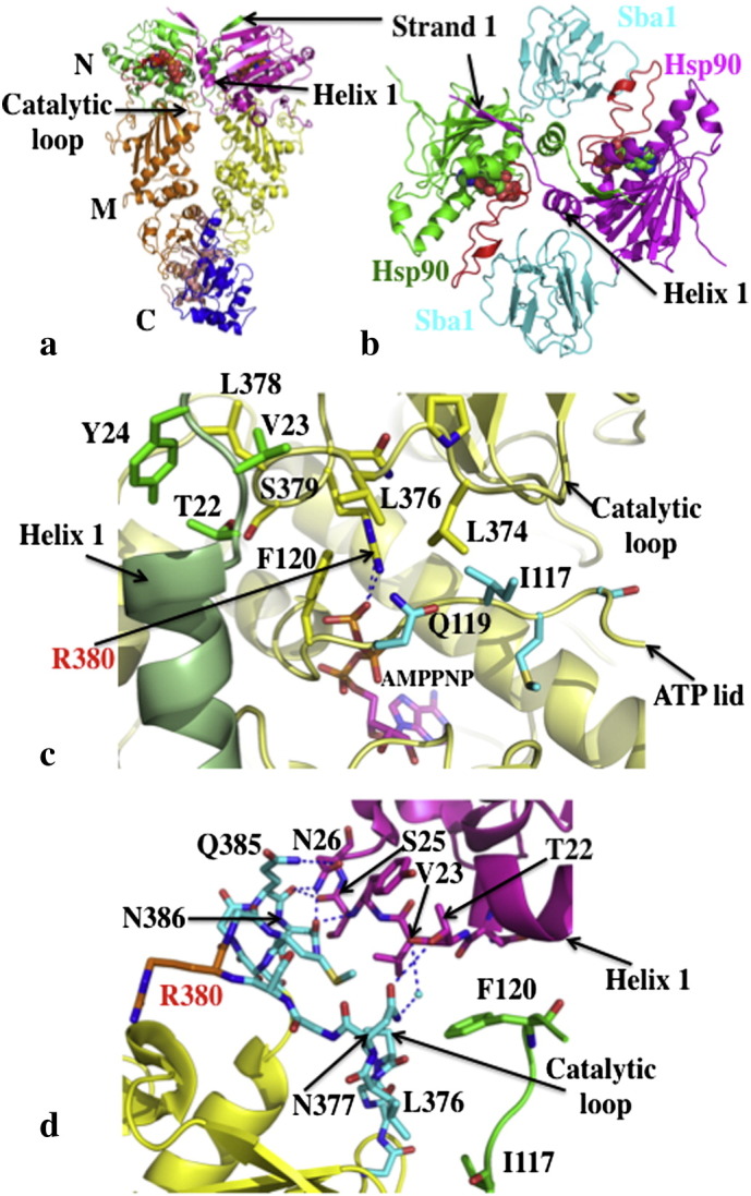 Fig. 1