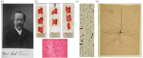 FIGURE 1