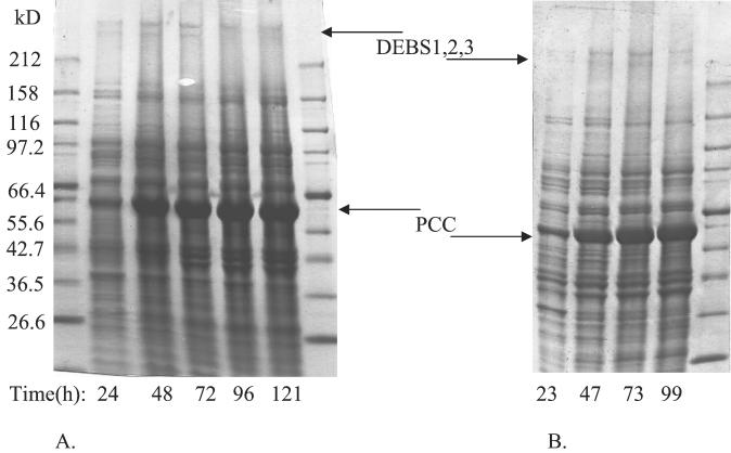 FIG. 2.