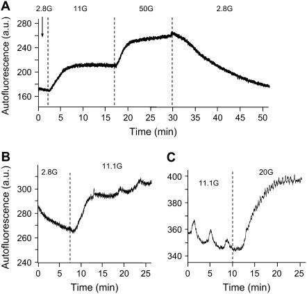 FIGURE 13