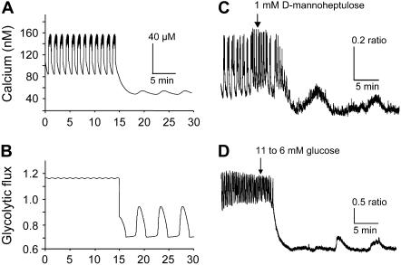 FIGURE 12