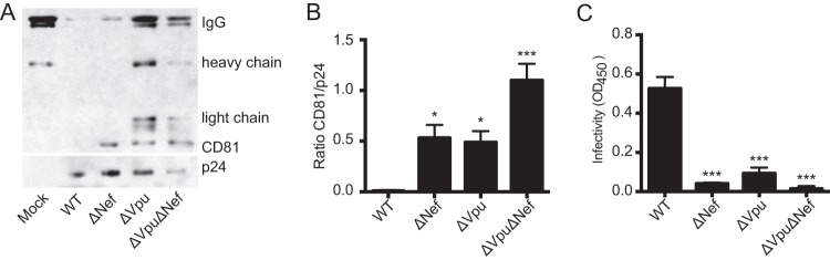 FIG 2