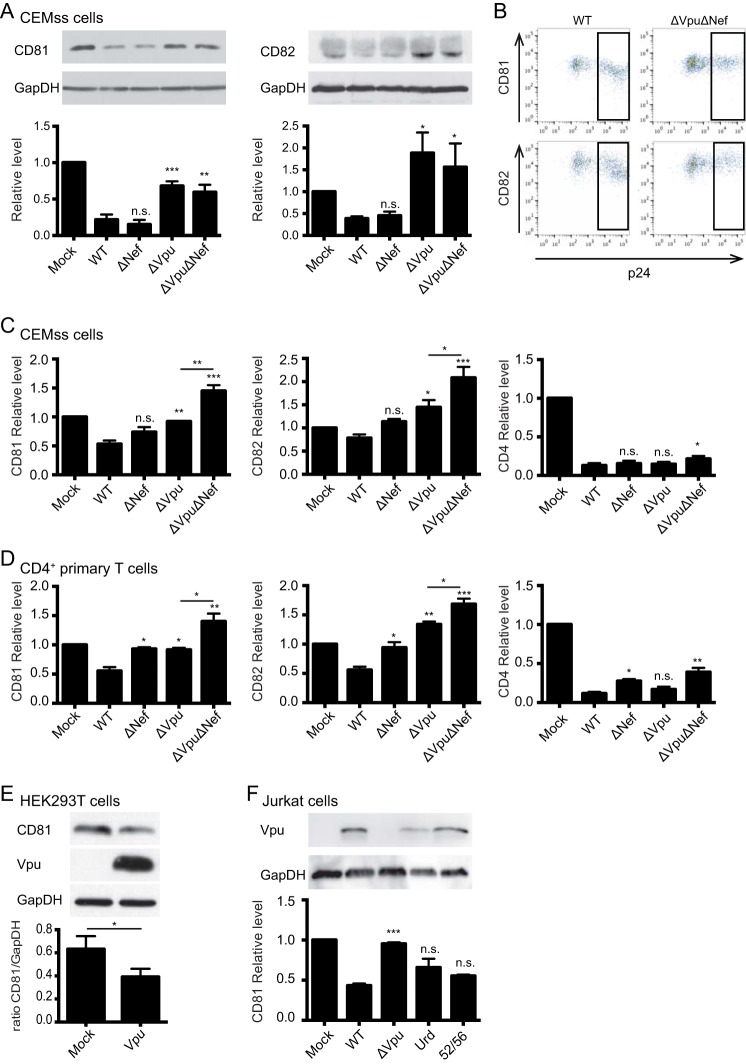 FIG 1