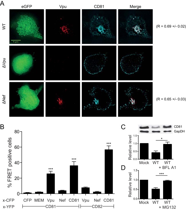 FIG 3