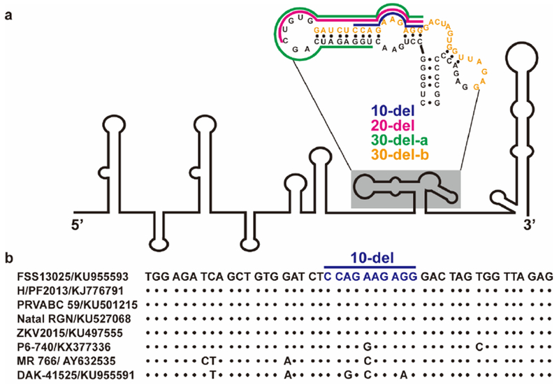 Extended Data Figure 1.