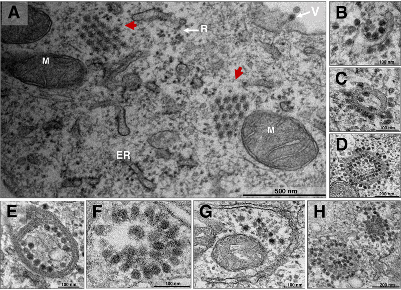 FIG 3