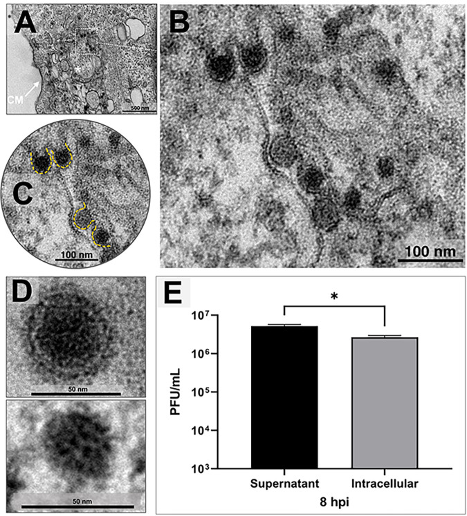 FIG 4