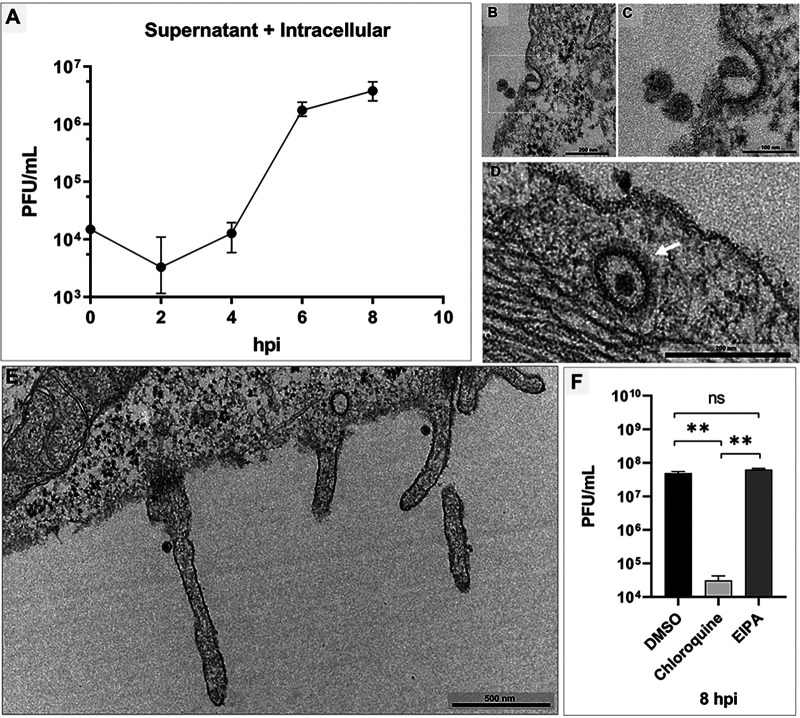 FIG 1