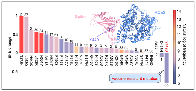 graphic file with name nihms-1922512-f0005.jpg