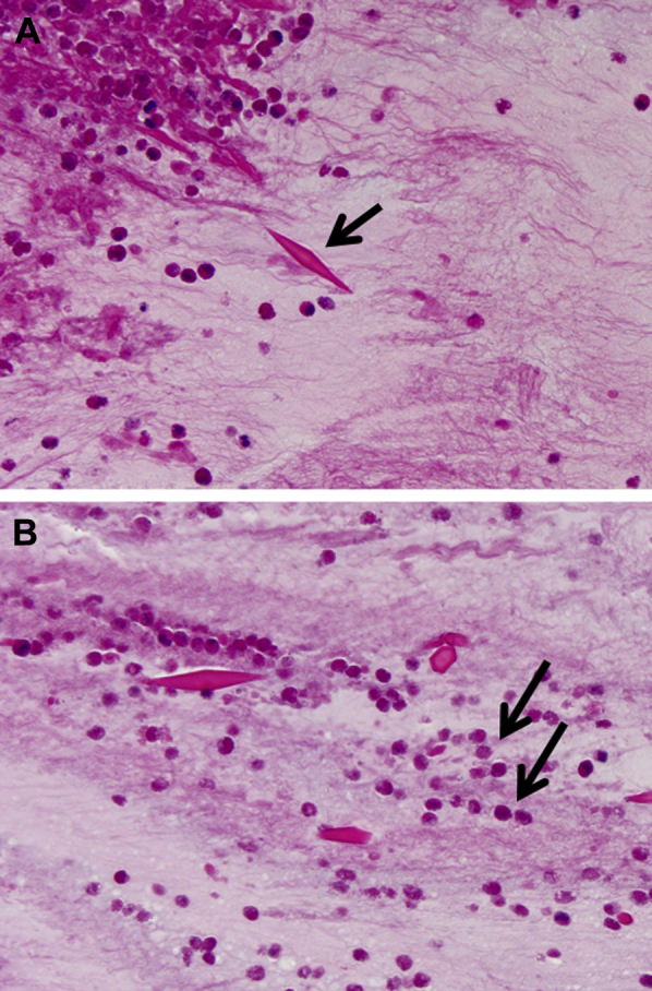 Figure 6