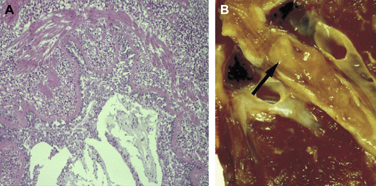 Figure 10