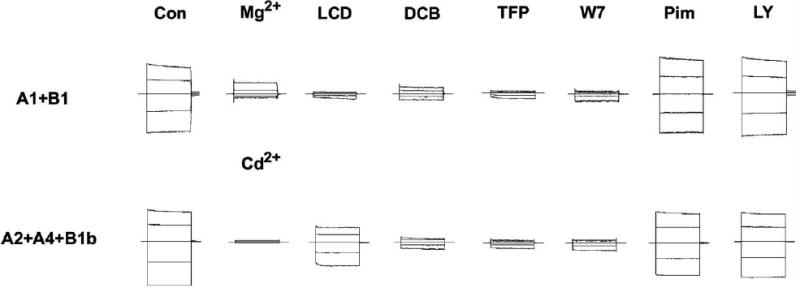 Fig. (8)