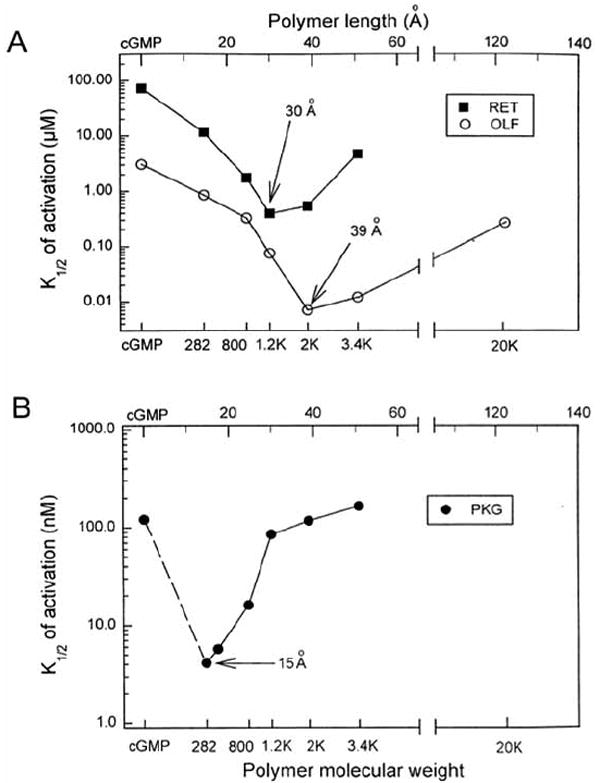 Fig. (5)