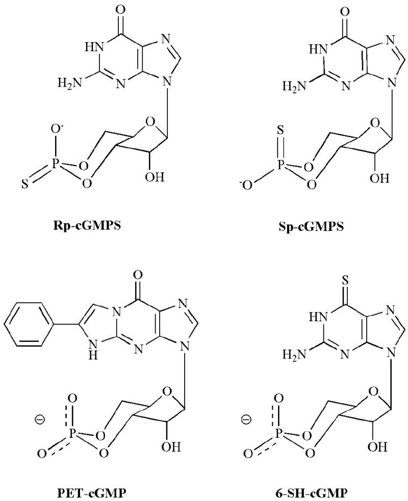 Fig. (2)