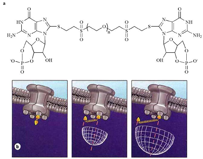 Fig. (4)