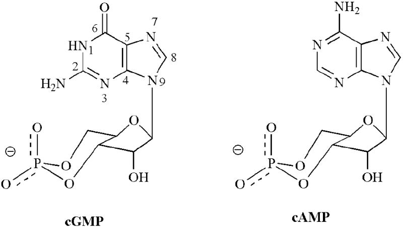 Fig. (1)