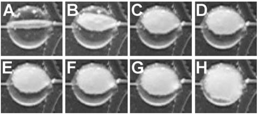 Fig. 5