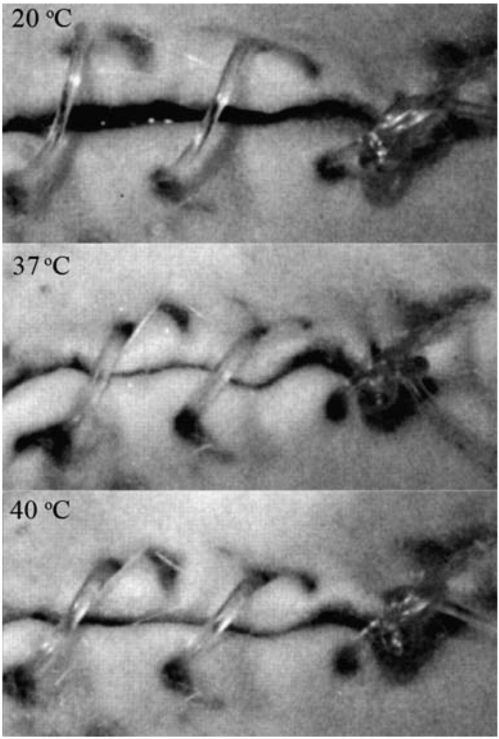 Fig. 10