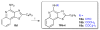 Scheme 7