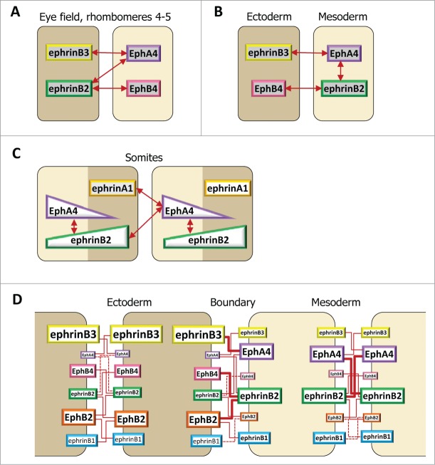 Figure 5.