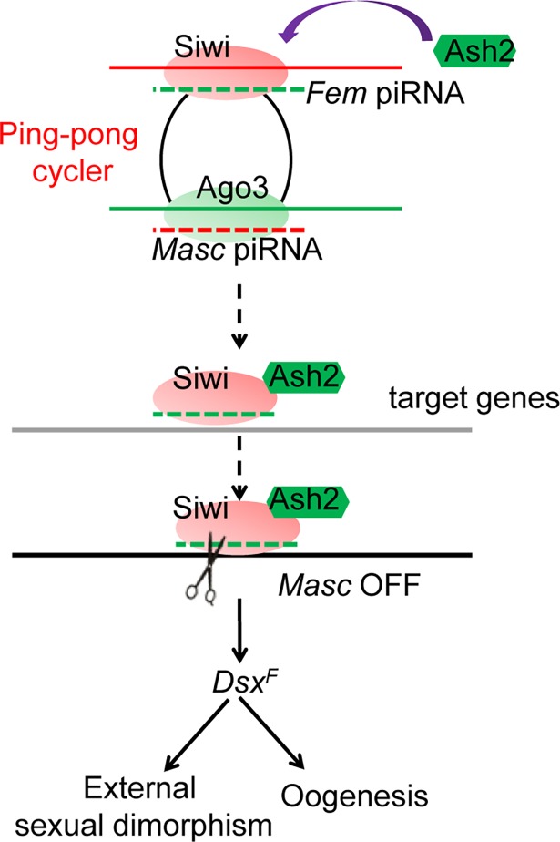 Fig 7