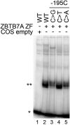 Figure 2