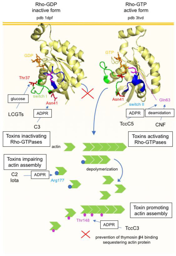 Figure 14